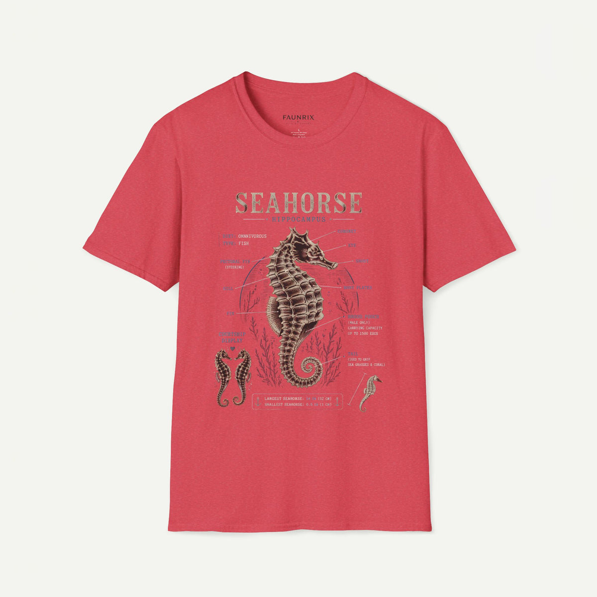 Seahorse Anatomy Tee — Vintage Marine Biology T-Shirt