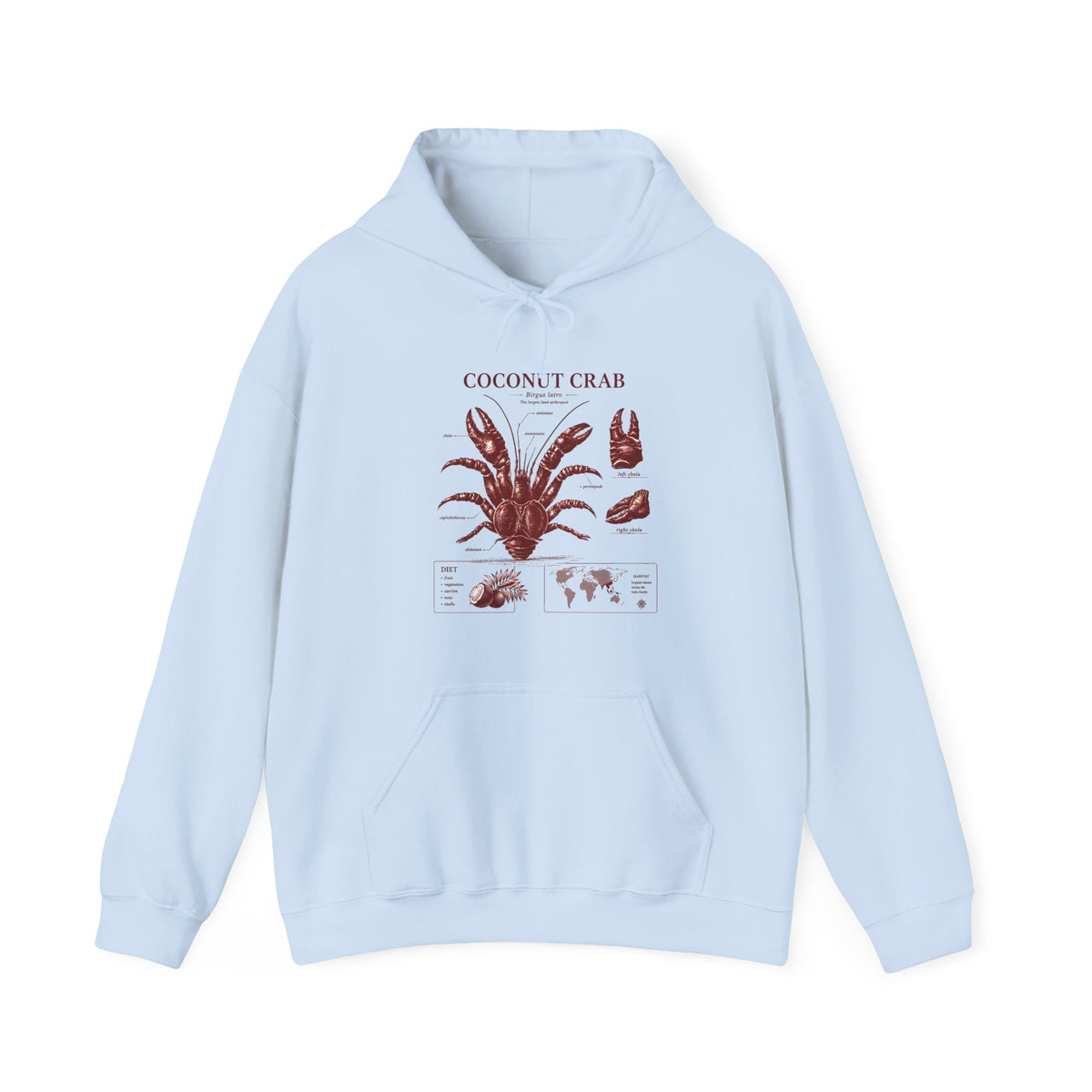 Coconut Crab Anatomy Hoodie — Vintage Botanical & Marine Study Print