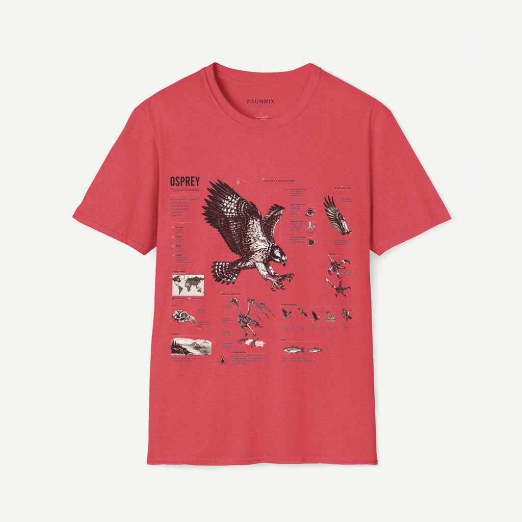 Osprey Anatomy T-Shirt — Vintage Bird Illustration Tee