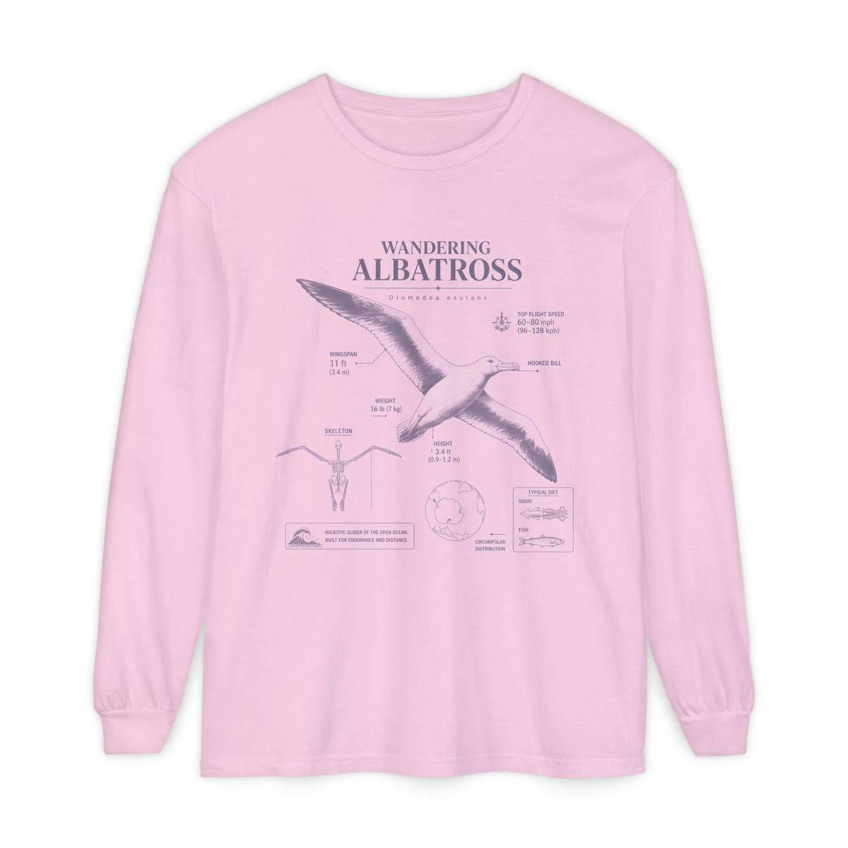 Wandering Albatross Long Sleeve Tee — Vintage Coastal Bird Illustration Main image