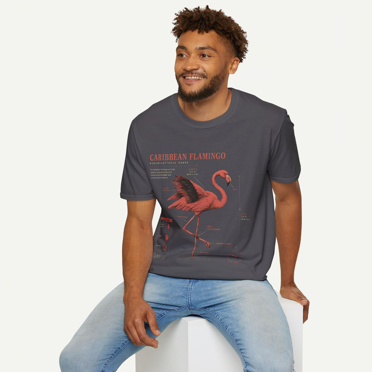 Flamingo Anatomy T-shirt — "Caribbean Flamingo" Vintage Tropical Tee