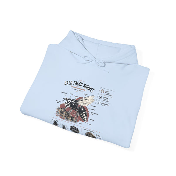Bee Anatomy Hoodie — Bald-Faced Hornet Illustration & Diagram Sweatshirt