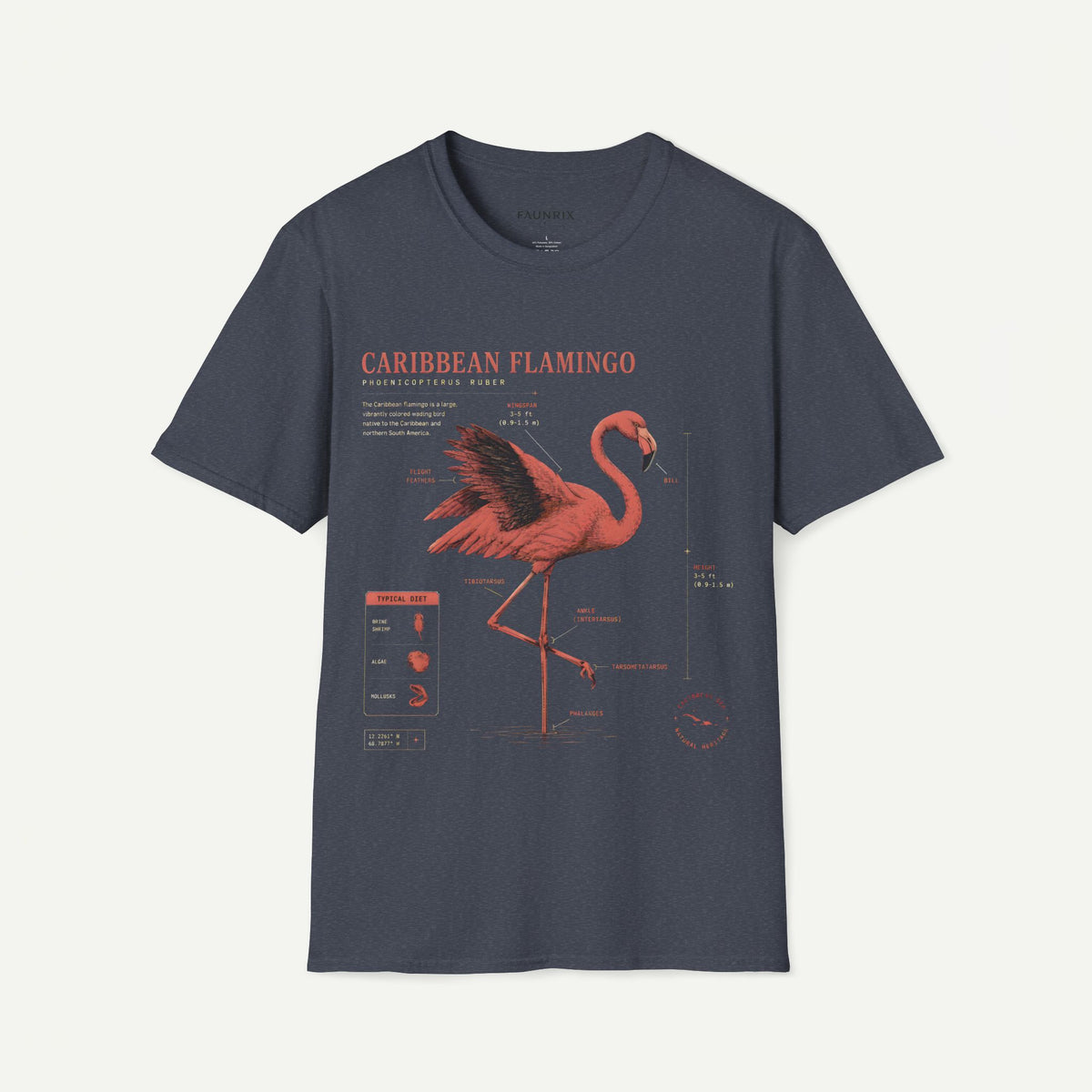 Flamingo Anatomy T-shirt — "Caribbean Flamingo" Vintage Tropical Tee Main image