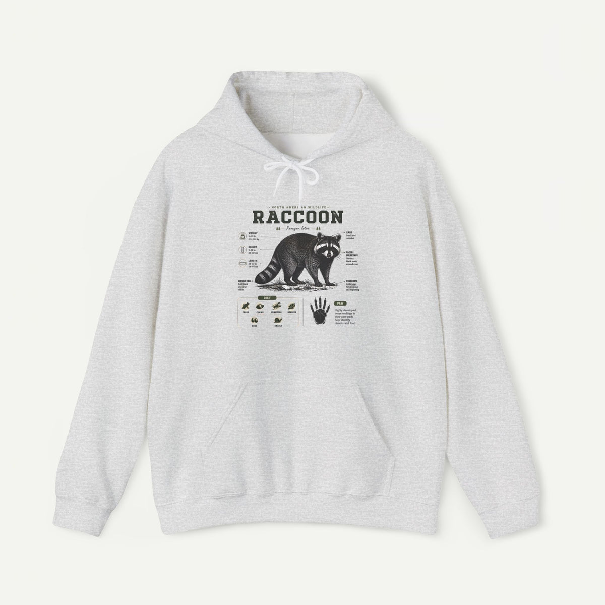 Raccoon Anatomy Hoodie — Vintage Wildlife Illustration Sweatshirt