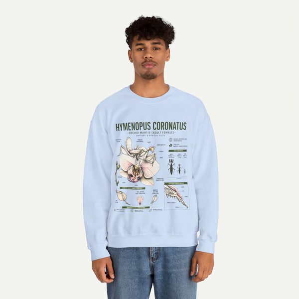 Botanical Anatomy Sweatshirt — Hymenopus Coronatus Illustration
