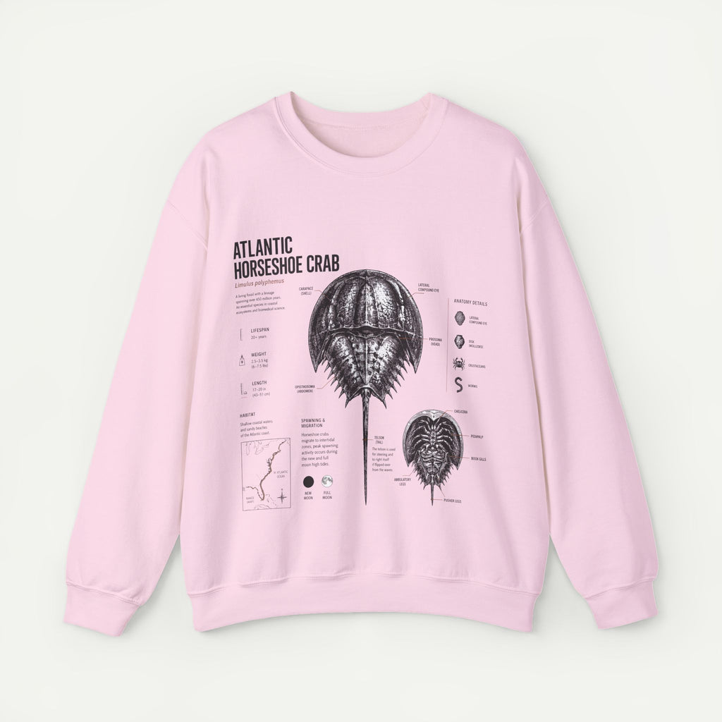 Horseshoe Crab Anatomy Sweatshirt — Atlantic Horseshoe Crab Illustration Crewneck