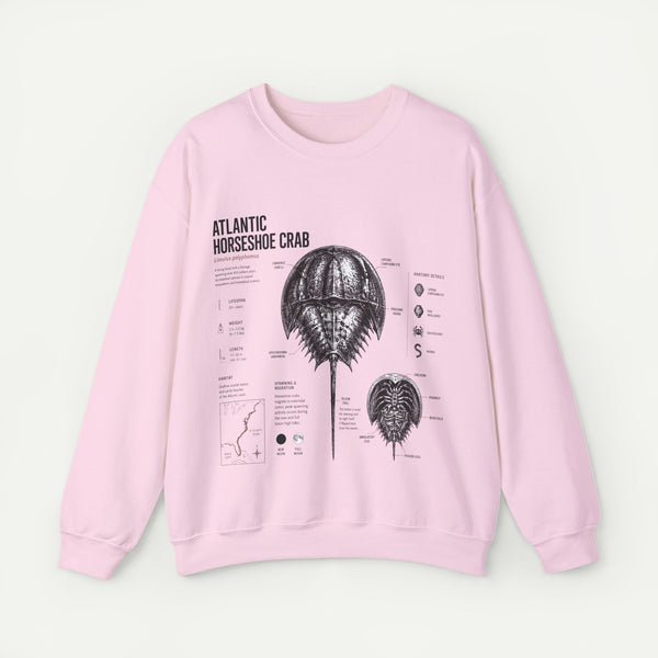 Horseshoe Crab Anatomy Sweatshirt — Atlantic Horseshoe Crab Illustration Crewneck
