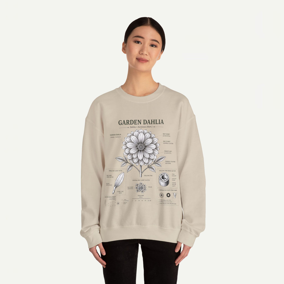 Dahlia Botanical Sweatshirt — Garden Dahlia Floral Diagram Crewneck