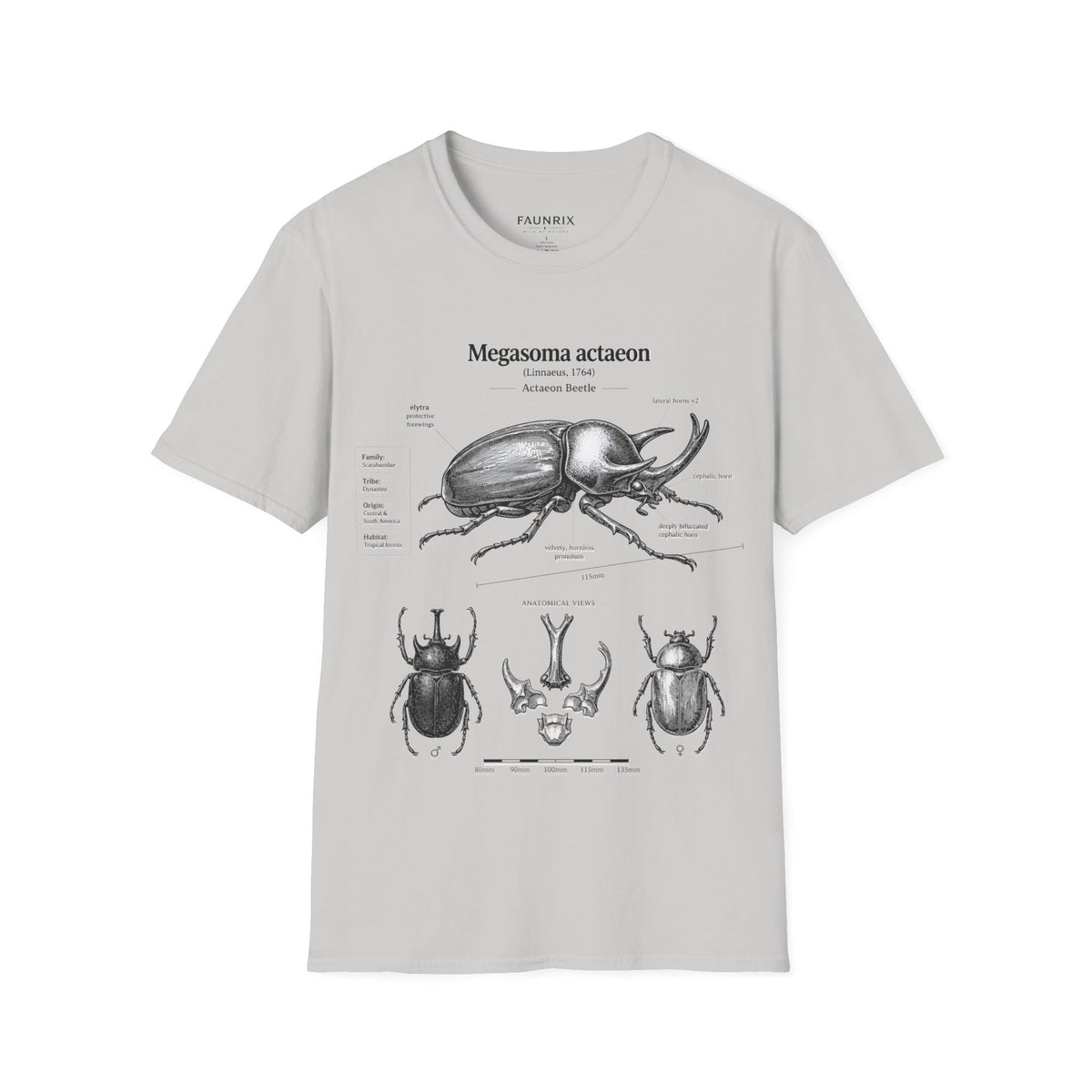 Beetle Anatomy T-Shirt — Megasoma actaeon Scientific Illustration Tee