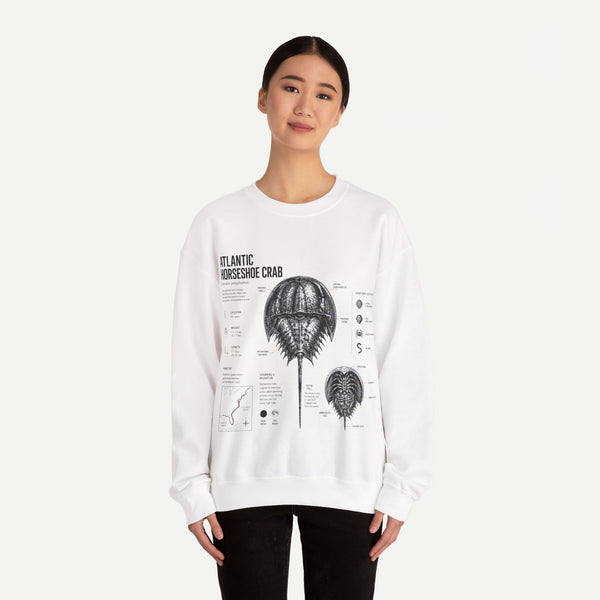 Horseshoe Crab Anatomy Sweatshirt — Atlantic Horseshoe Crab Illustration Crewneck