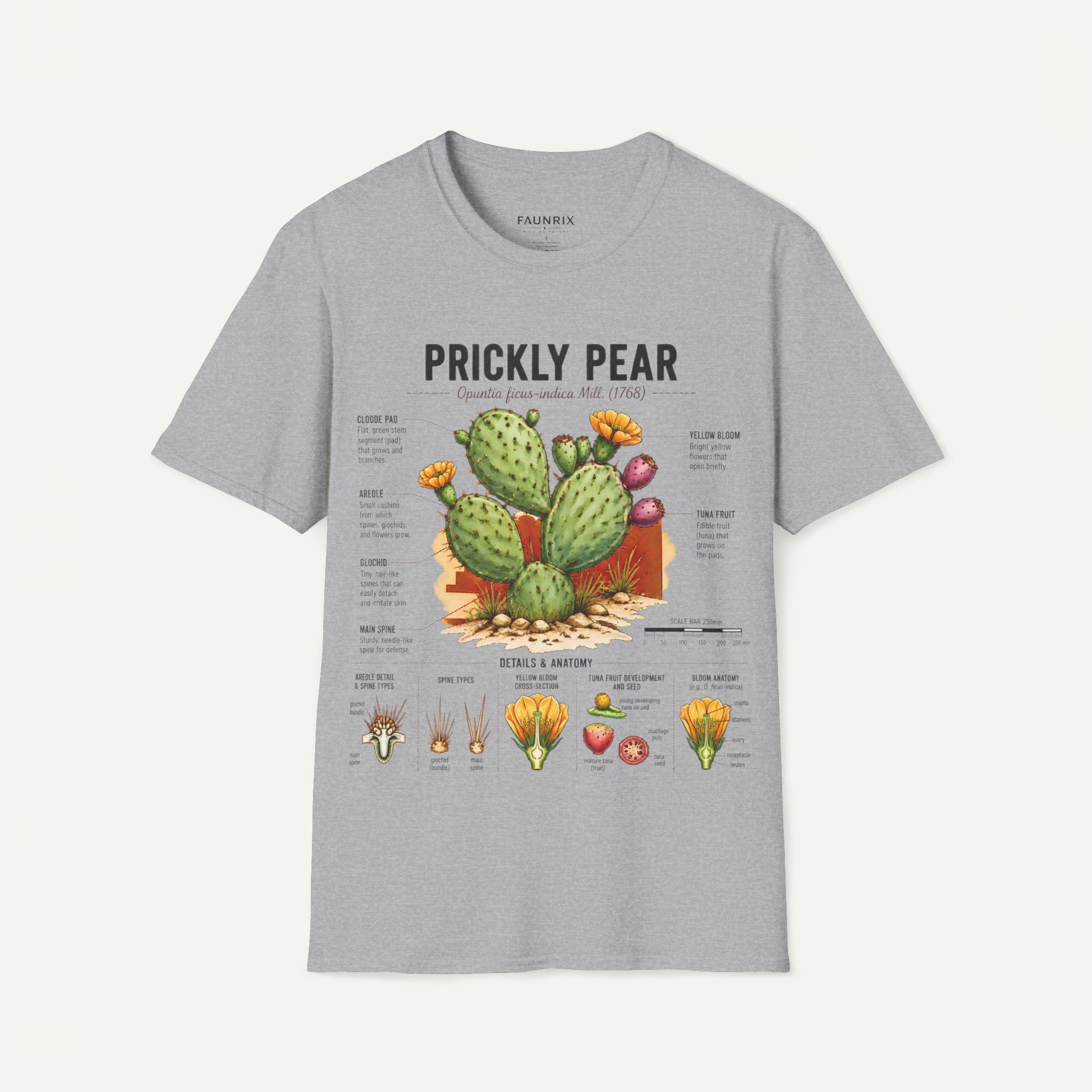 Prickly Pear Botanical T-Shirt — Vintage Cactus Illustration Tee Secondary image