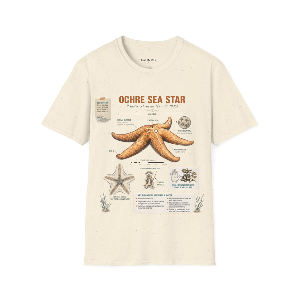 Sea Star Anatomy T-Shirt — Ochre Starfish Illustration Tee