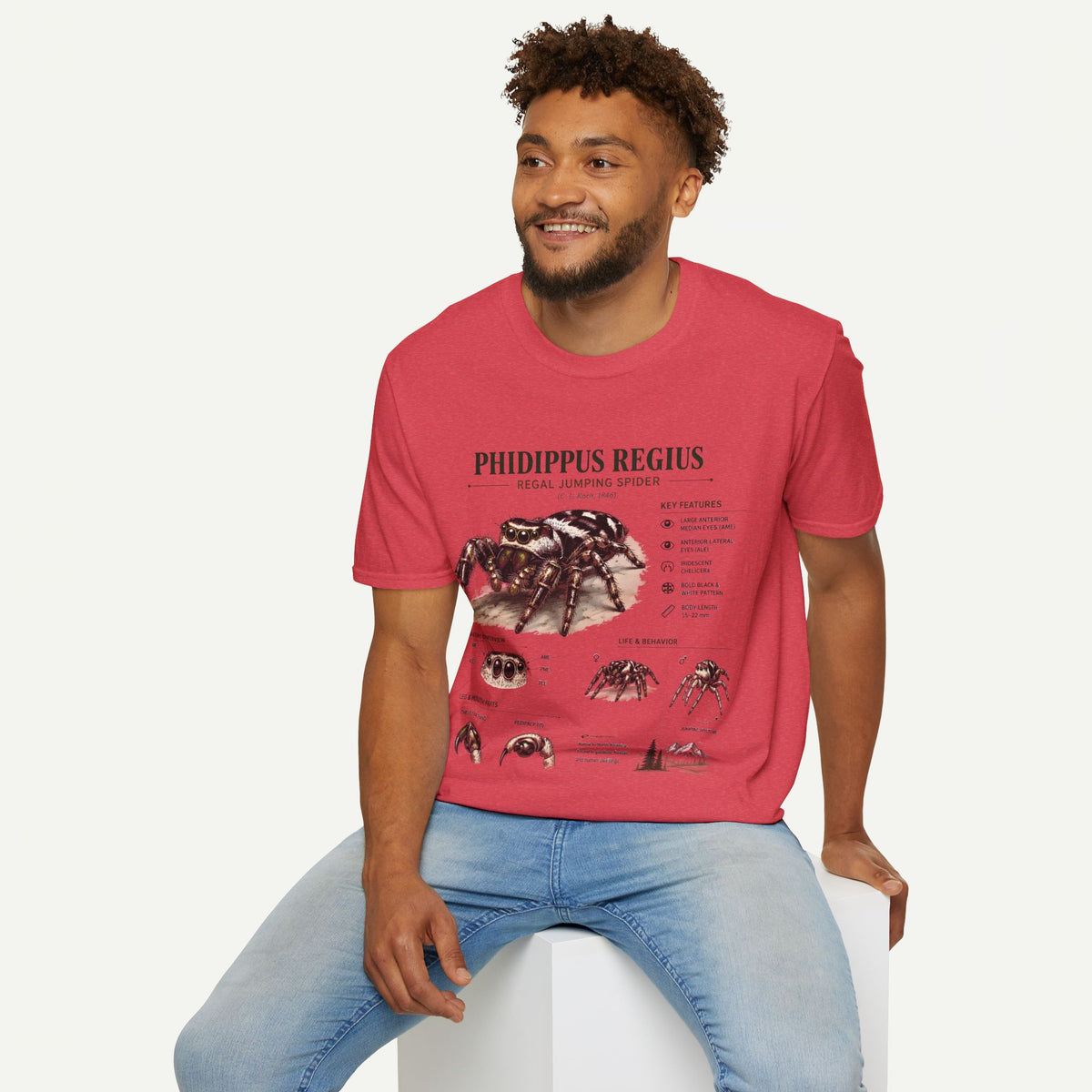 Phidippus Regius Jumping Spider Anatomy T-Shirt — Educational Arachnid Tee