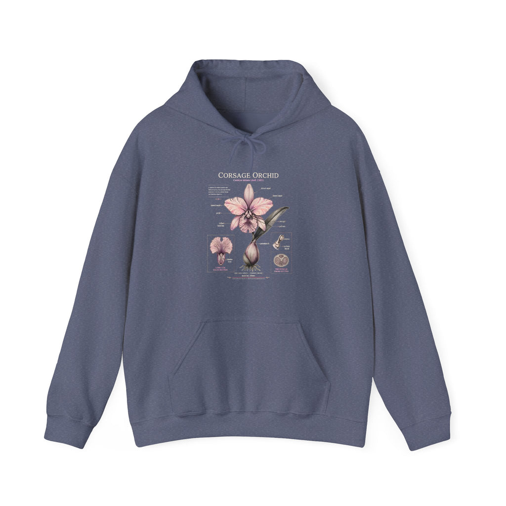 Orchid Botanical Hoodie — Cattleya Orchid Illustration Floral Pullover