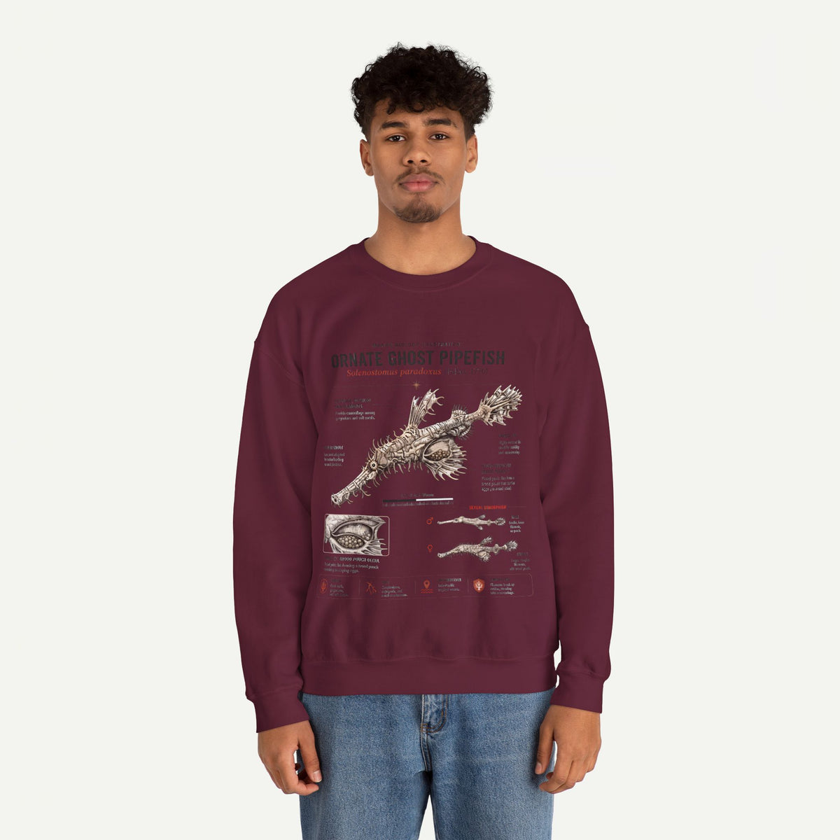 Ornate Ghost Pipefish Anatomy Sweatshirt
