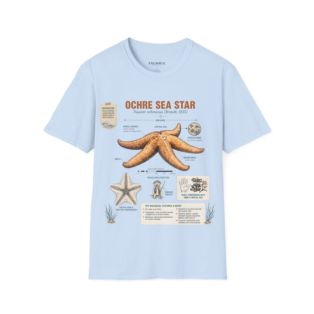 Sea Star Anatomy T-Shirt — Ochre Starfish Illustration Tee
