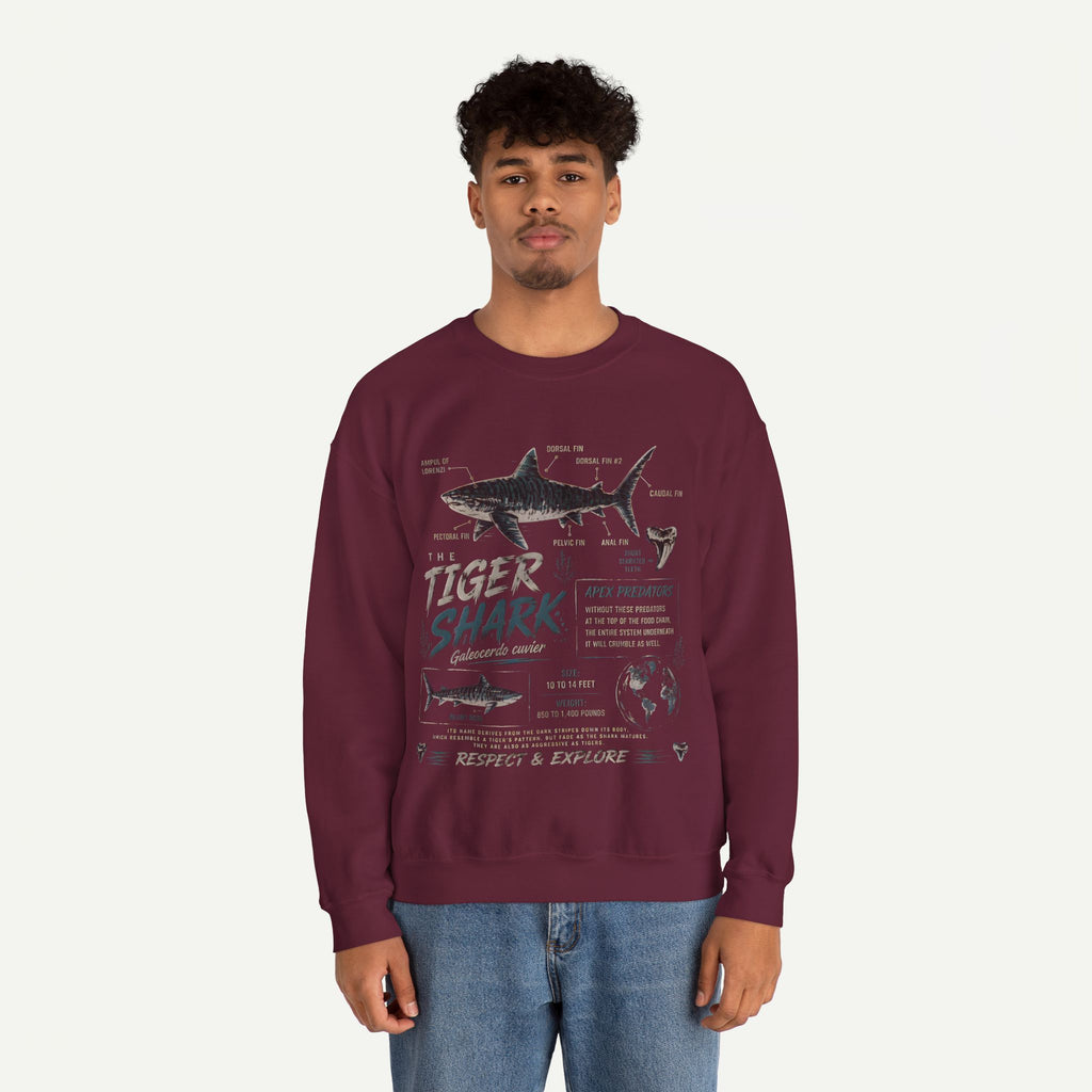 Tiger Shark Anatomy Sweatshirt — Marine Biology Graphic Crewneck