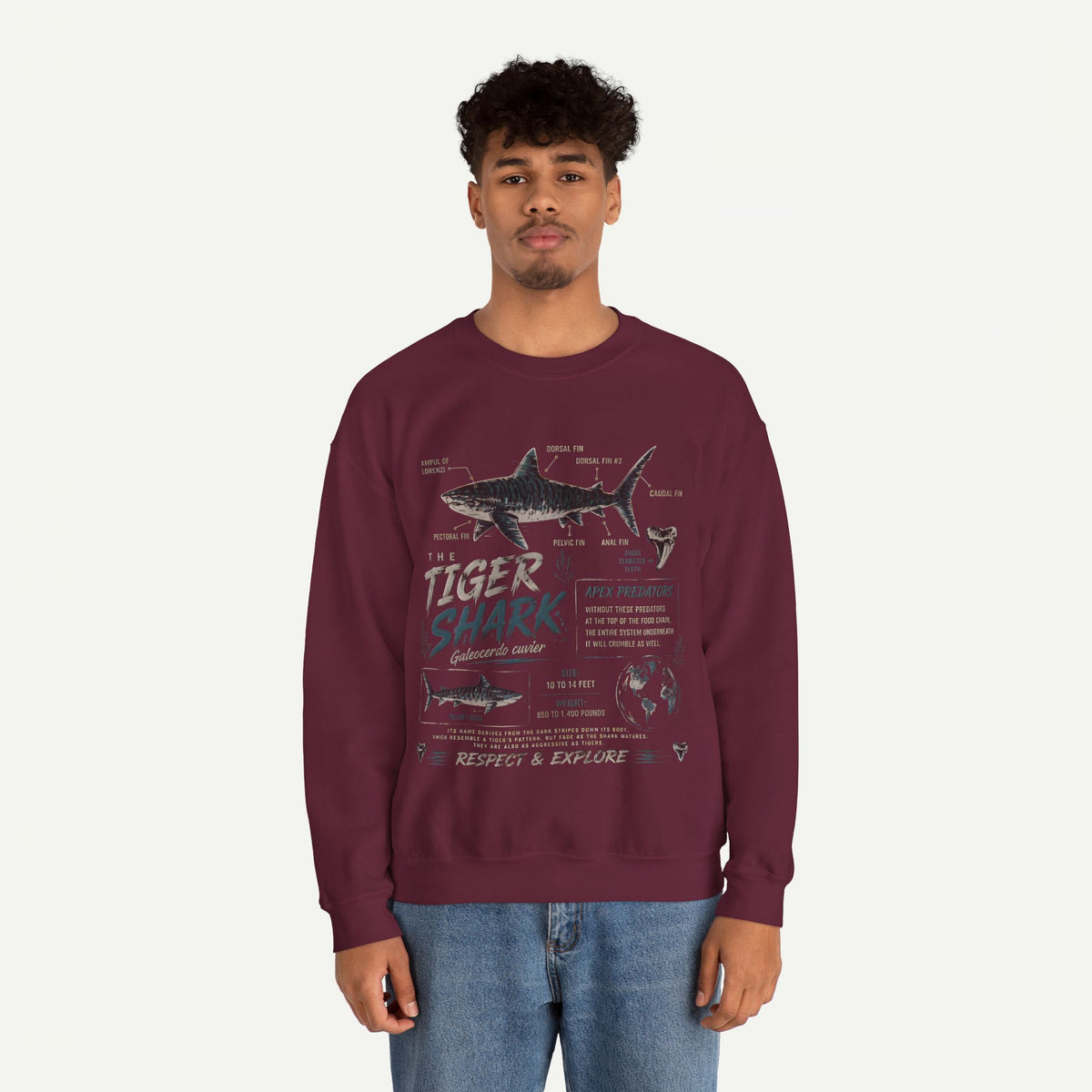 Tiger Shark Anatomy Sweatshirt — Marine Biology Graphic Crewneck