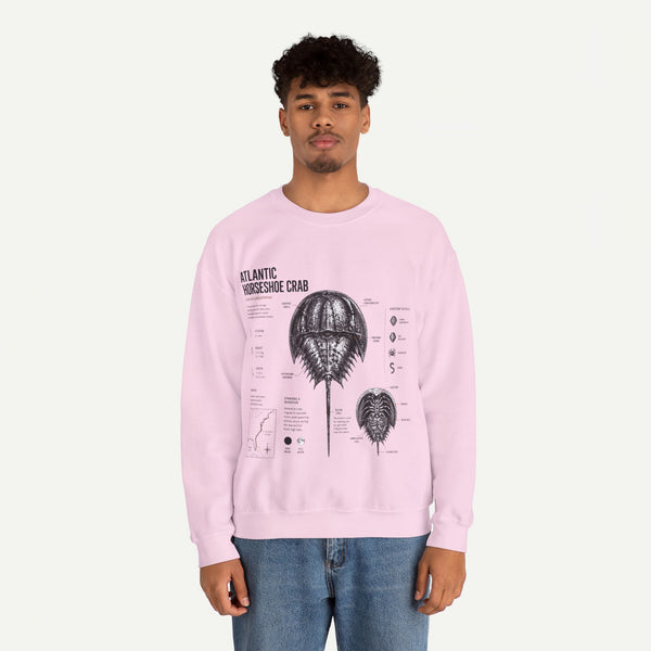Horseshoe Crab Anatomy Sweatshirt — Atlantic Horseshoe Crab Illustration Crewneck