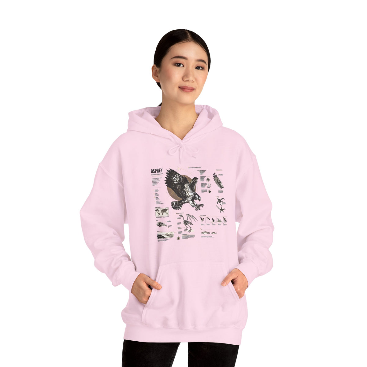 Eagle Anatomy Hoodie — Vintage Ornithology Graphic Sweatshirt