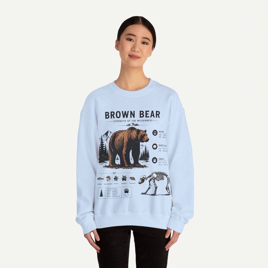 Brown Bear Anatomy Sweatshirt — Wildlife Illustration Graphic Sweatshirt