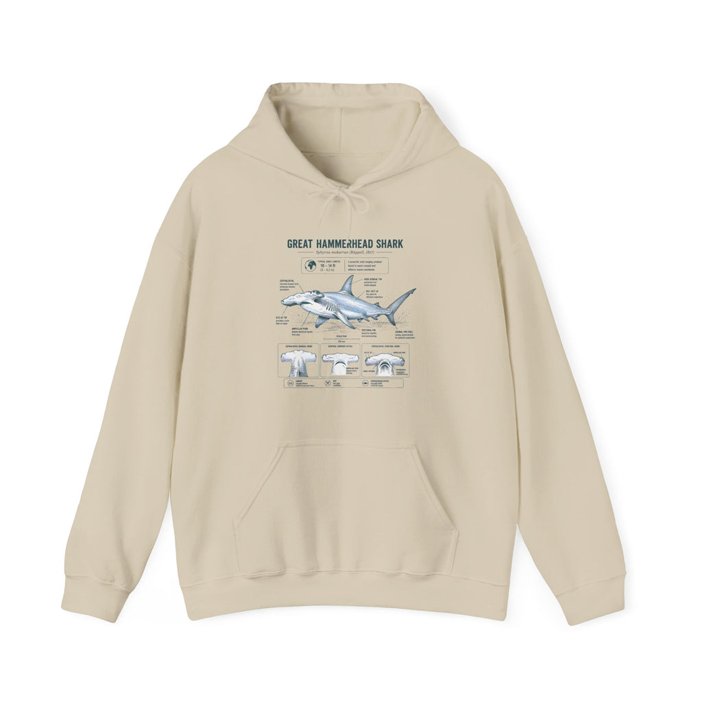 Shark Anatomy Hoodie — Great Hammerhead Shark Diagram Sweatshirt