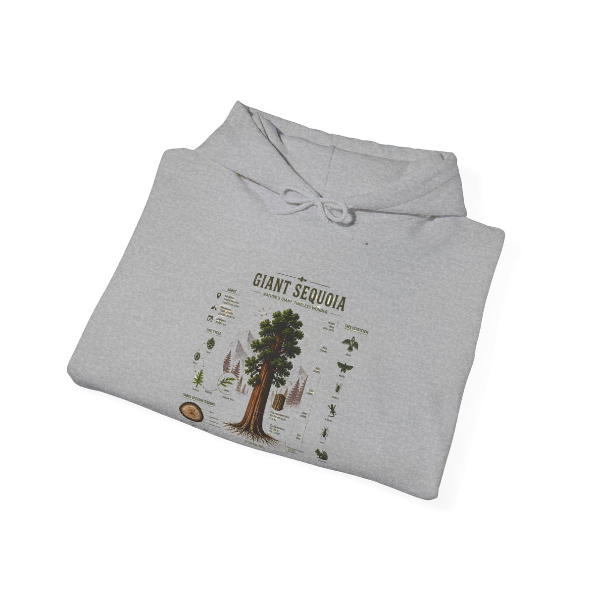 Giant Sequoia Botanical Hoodie — Vintage Tree Illustration & Facts