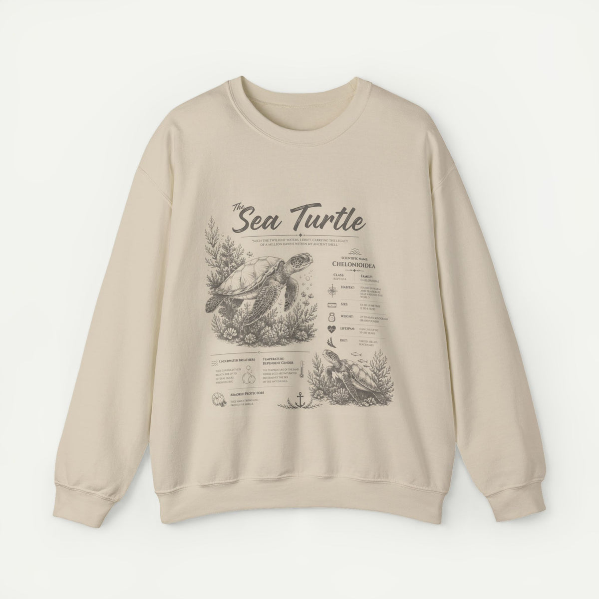 Sea Turtle Anatomy Crewneck Sweatshirt