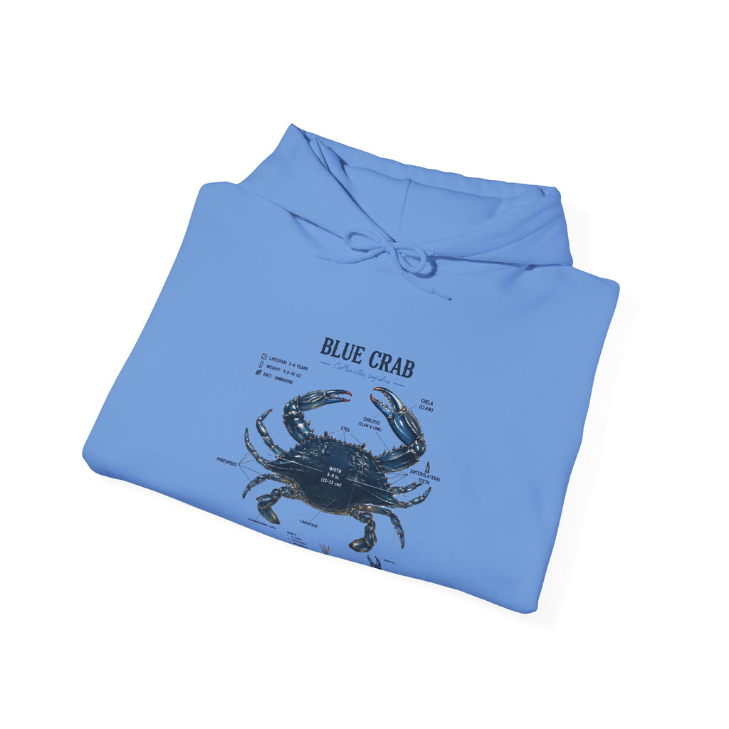 Blue Crab Anatomy Hoodie — Nautical Marine Biology Graphic Sweatshirt