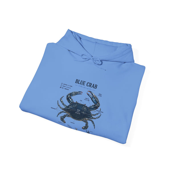 Blue Crab Anatomy Hoodie — Nautical Marine Biology Graphic Sweatshirt