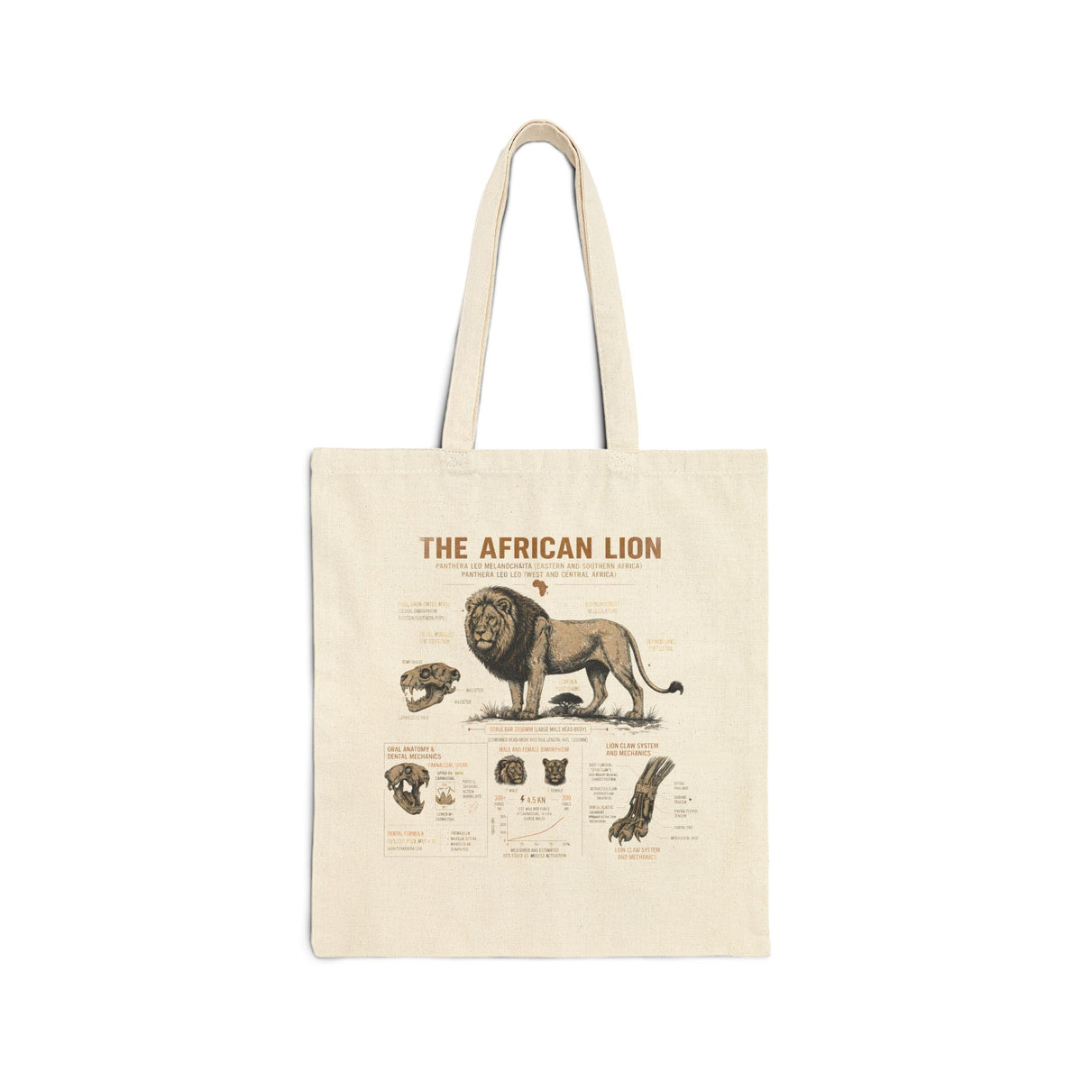 African Lion Anatomy Canvas Tote Bag - Vintage Wildlife Diagram Tote Main image