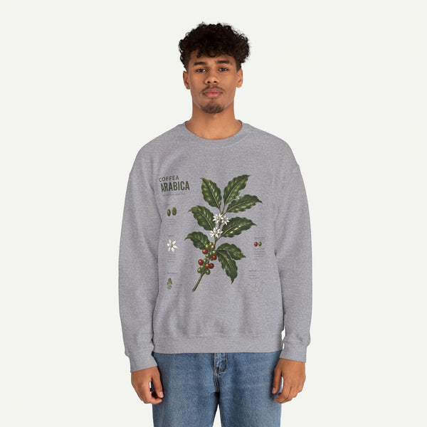 Coffee Arabica Botanical Print  Crewneck Sweatshirt