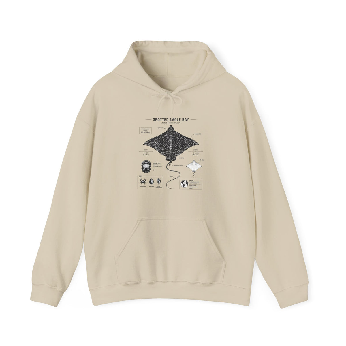 Manta Ray Anatomy Hoodie – Spotted Eagle Ray Diagram Sweatshirt