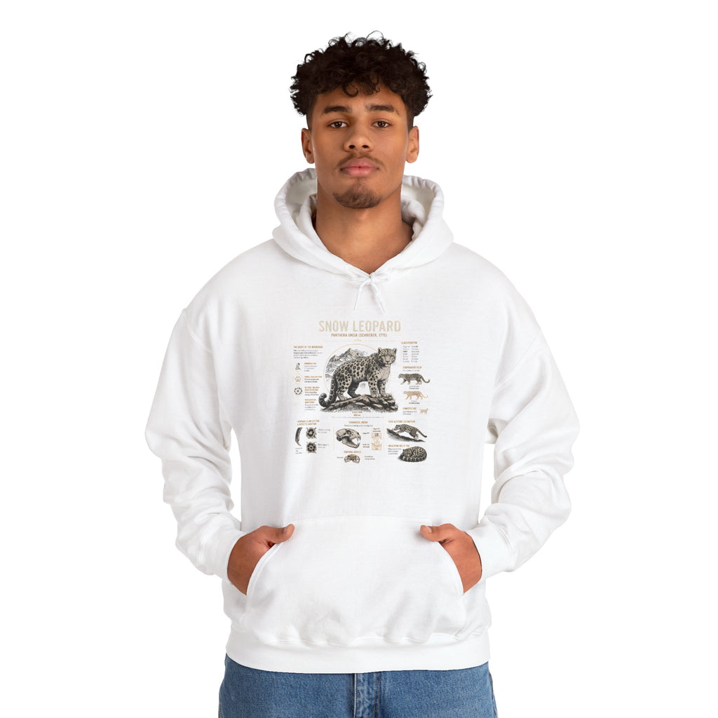 Bear Anatomy Hoodie — Vintage Wildlife Illustration Sweatshirt