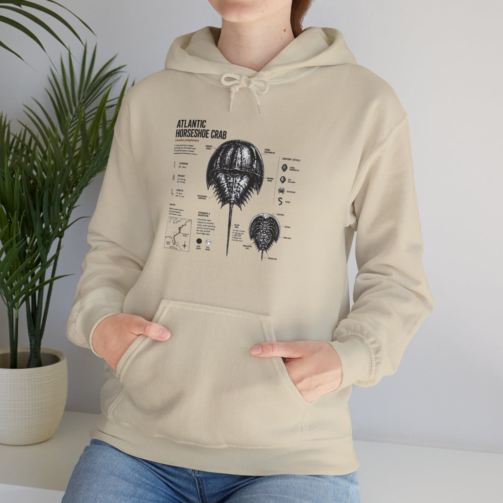 Horseshoe Crab Anatomy Hoodies