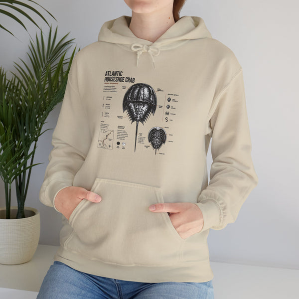 Horseshoe Crab Anatomy Hoodies