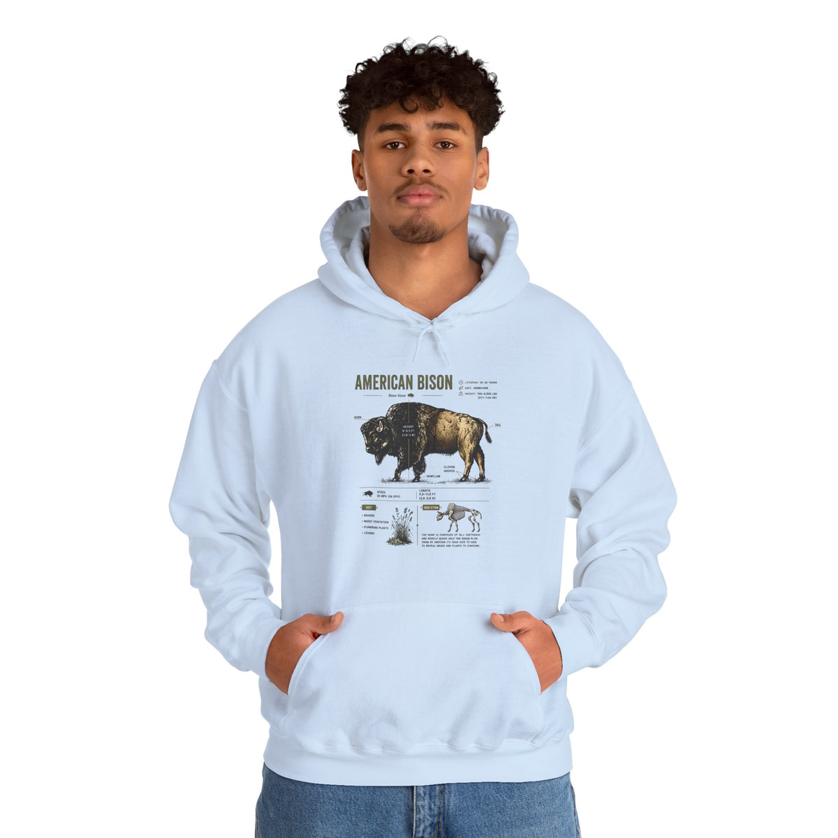 Bison Anatomy Hoodie — American Bison Illustration & Facts Sweatshirt