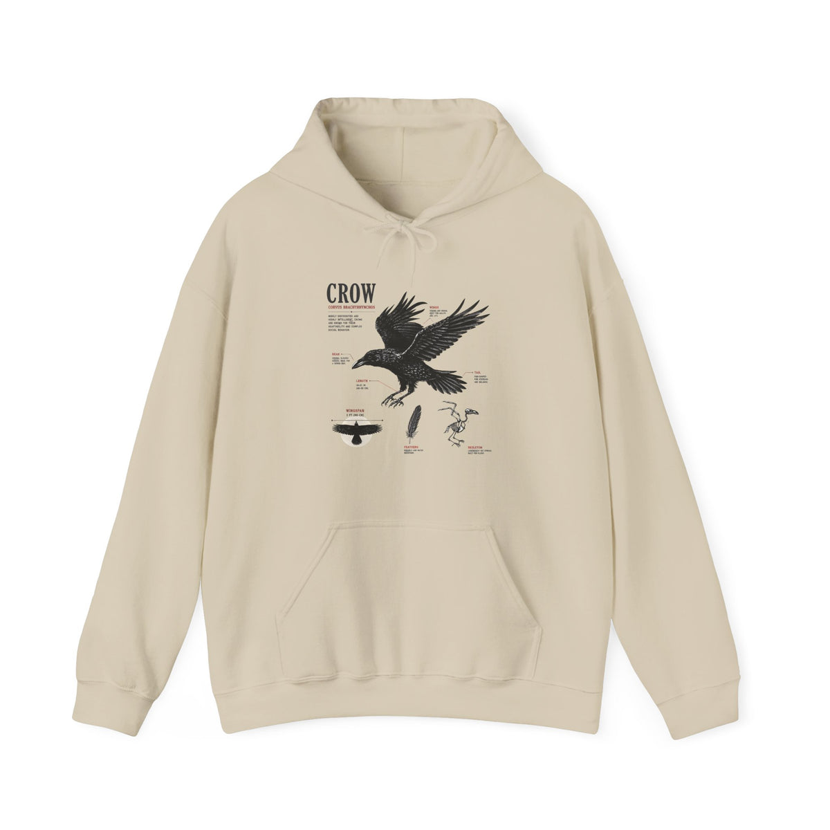 Crow Anatomy Hoodie — Vintage Raven Diagram Hooded Sweatshirt