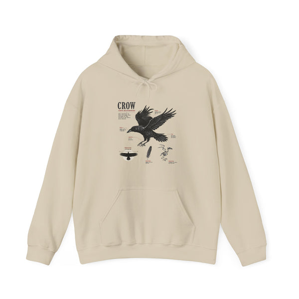 Crow Anatomy Hoodie — Vintage Raven Diagram Hooded Sweatshirt