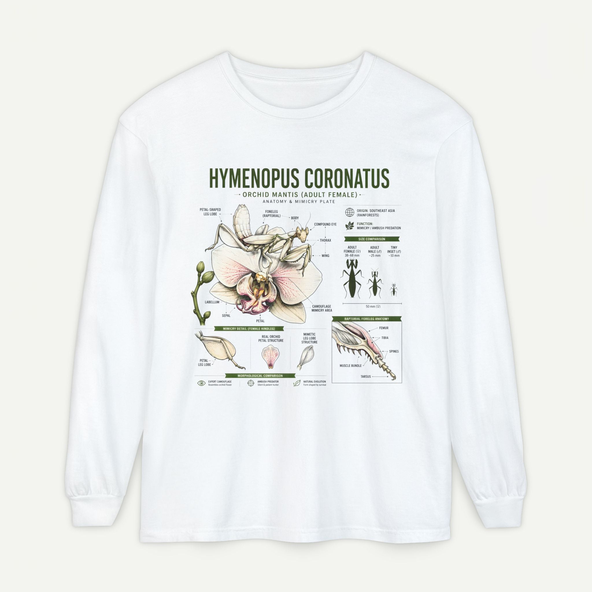 Hymenopus Coronatus Orchid Mantis Illustration Long Sleeve Tee Secondary image