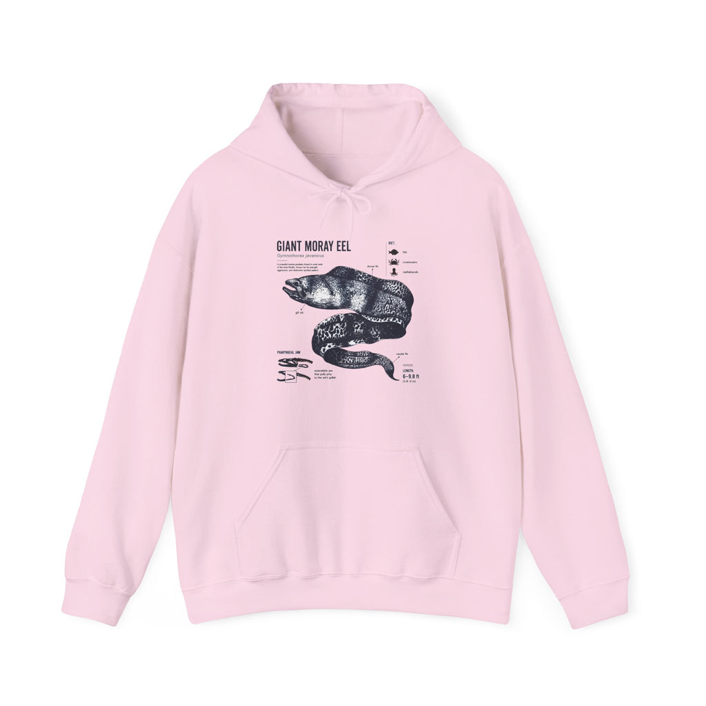 Sea Snake Diagram Hoodie - Vintage Scientific Illustration Sweatshirt