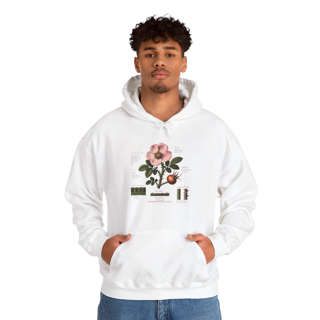 Vintage Botanical Hoodie — Rose Diagram Print
