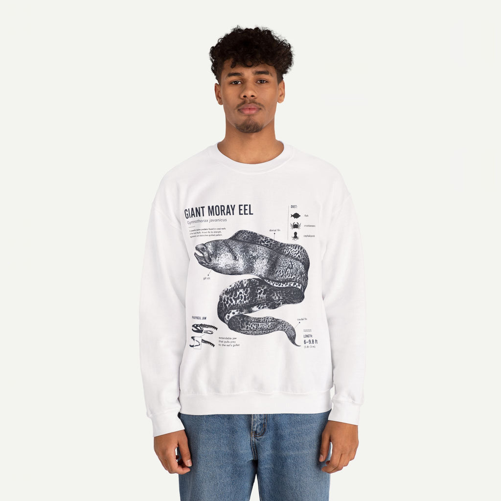 Giant Moray Eel Anatomy Sweatshirt