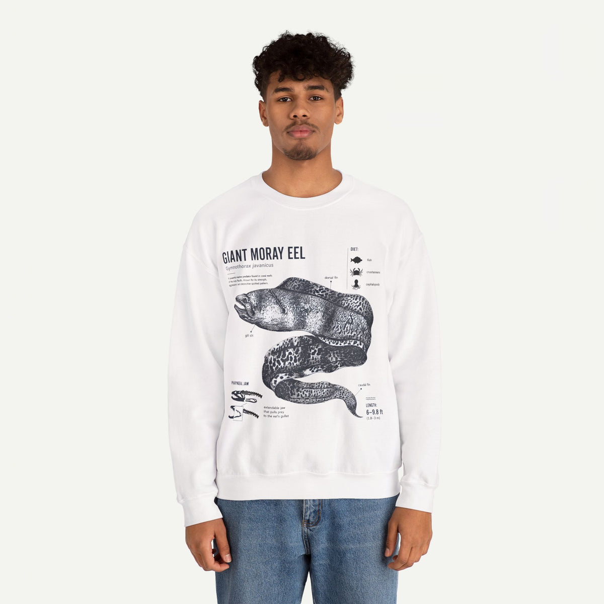 Giant Moray Eel Anatomy Sweatshirt