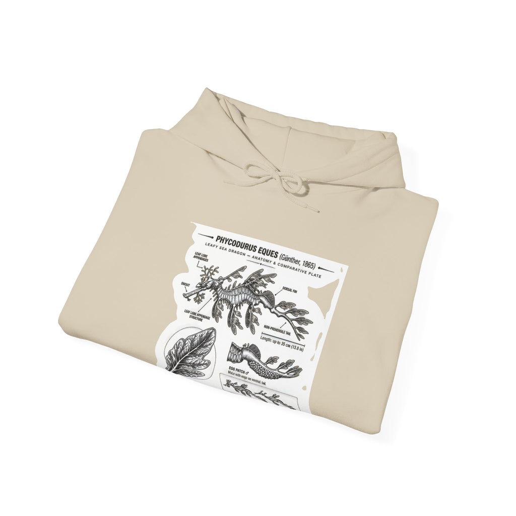 Botanical Anatomy Hoodie — Vintage Plant Diagram Sweatshirt