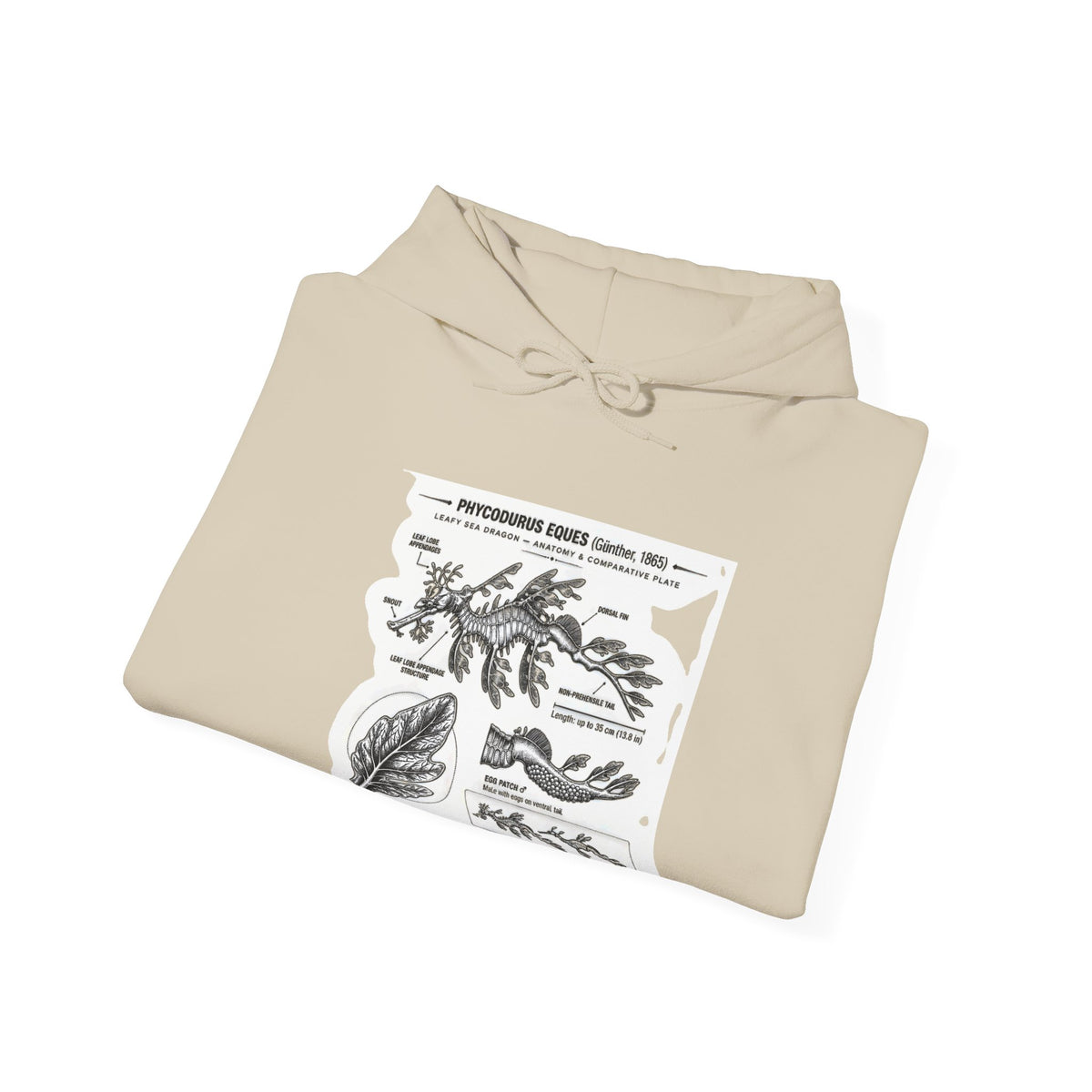 Botanical Anatomy Hoodie — Vintage Plant Diagram Sweatshirt