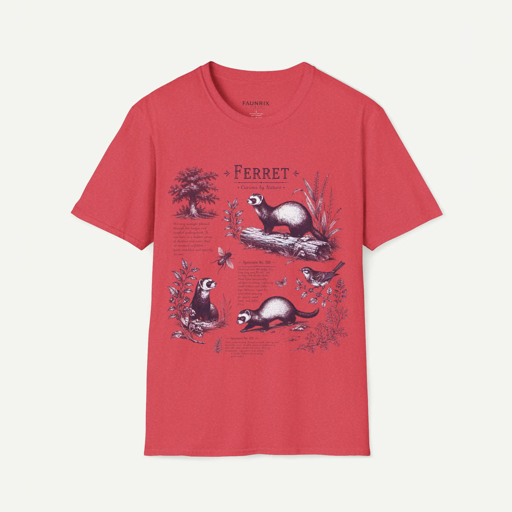 Ferret Vintage Anatomy T-Shirt — Botanical Wildlife Tee