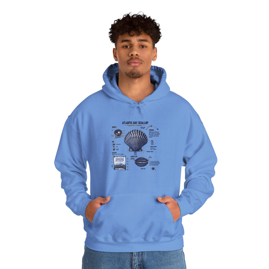 Seashell Anatomy Hoodie – Nautical Beach Diagram Sweatshirt
