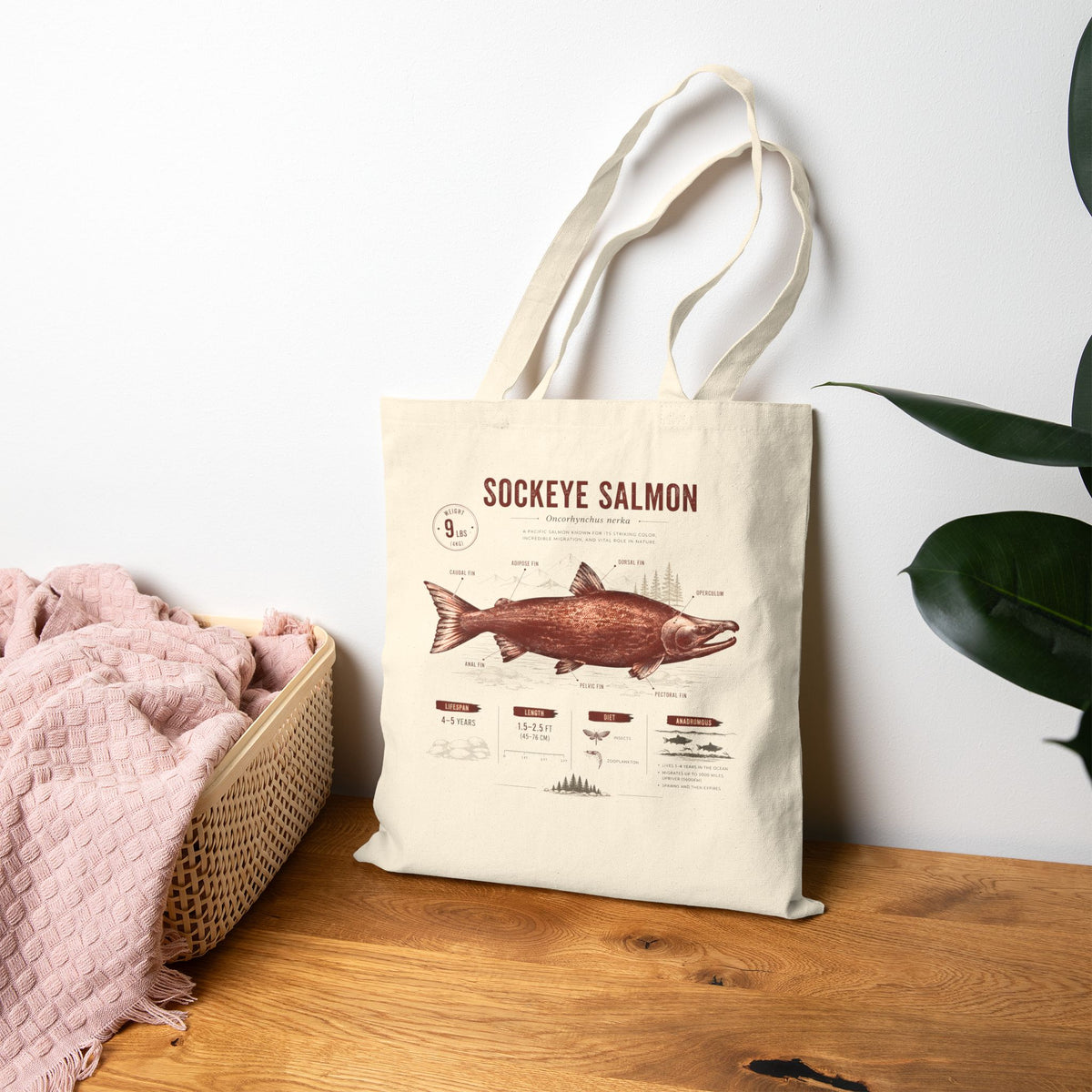 Sockeye Salmon Anatomy Canvas Tote Bag — Vintage Fish Illustration Eco Grocery Shopper