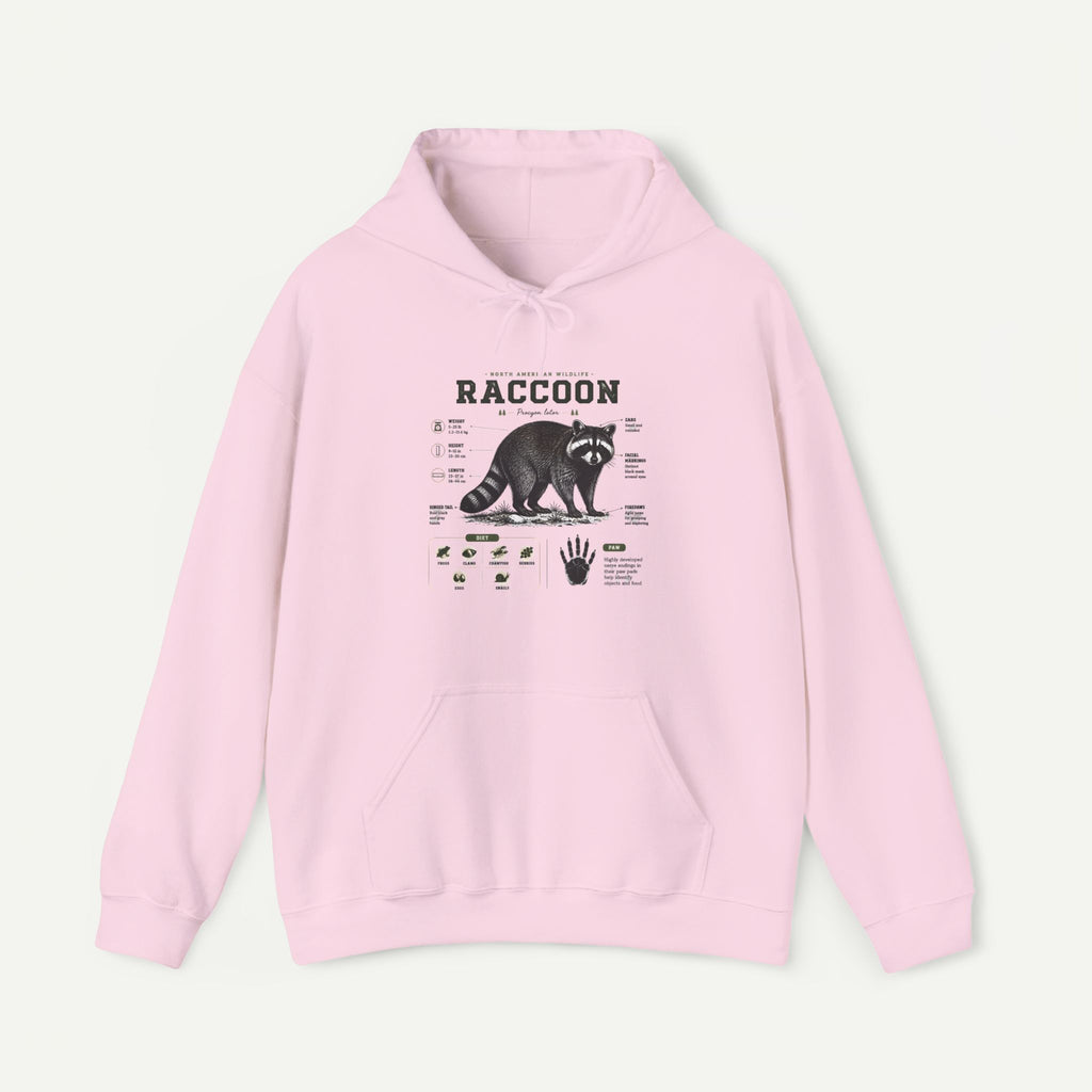 Raccoon Anatomy Hoodie — Vintage Wildlife Illustration Sweatshirt